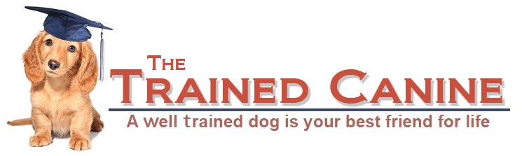logo 01