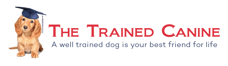 The Trained Canine | Dog Training in New Jersey